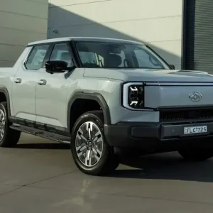 LDV eTerron 9