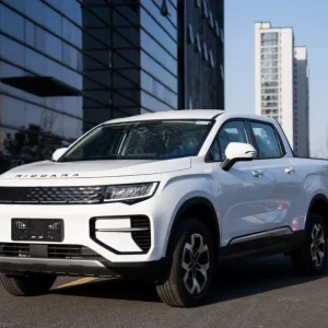 Geely Riddara RD6